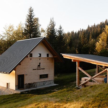 Alpine Cottage Golica Jesenice Ngoại thất bức ảnh