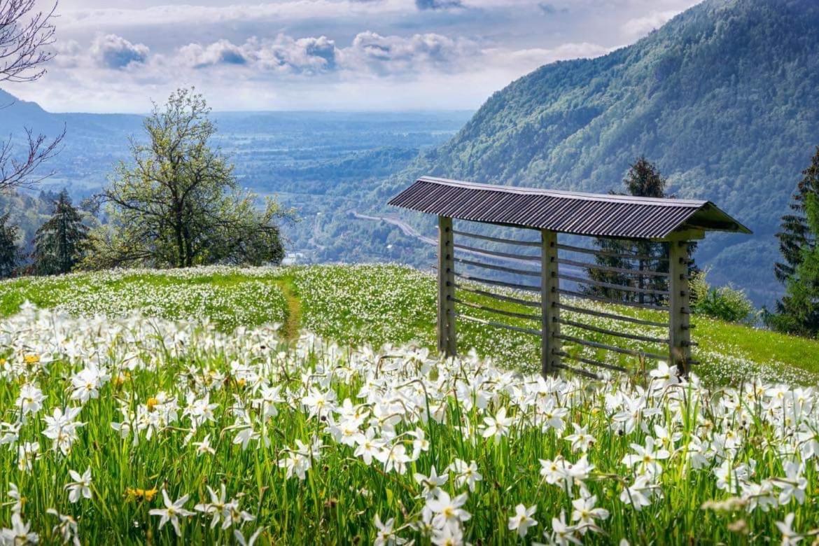 Alpine Cottage Golica Jesenice Ngoại thất bức ảnh